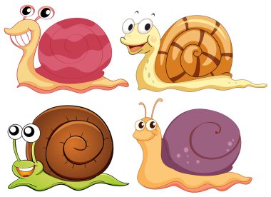 Four snails with different shells clipart