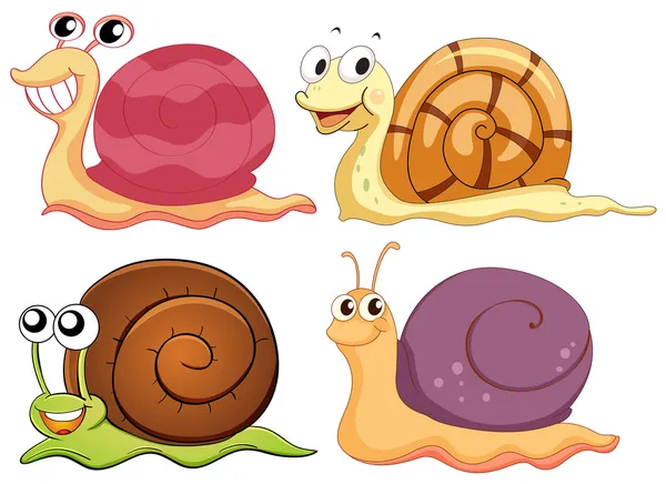 Four snails with different shells — Stock Vector