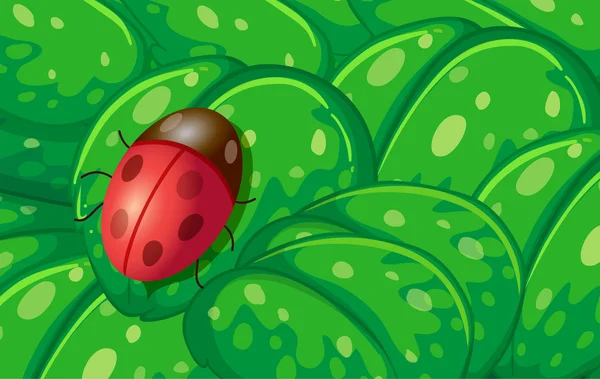 Bir uğur böceği ve yeşil yaprak — Stok Vektör