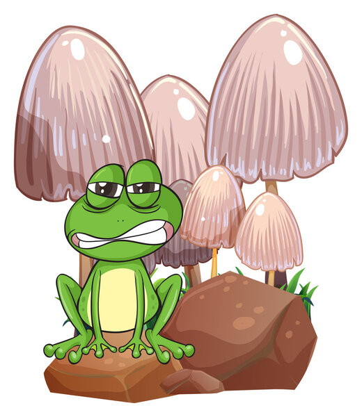 A sad frog near the mushrooms