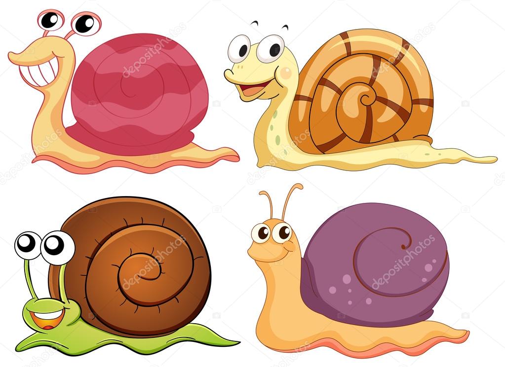 Four snails with different shells