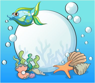 balıklar ve diğer deniz canlıları inci dev oteller