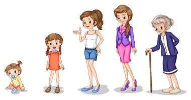 Phases of a growing female
