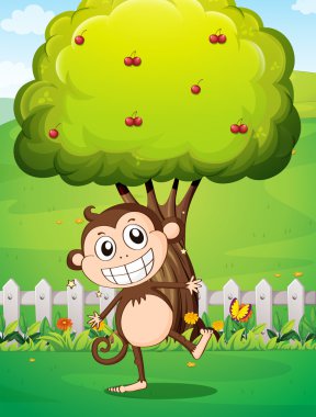 kiraz ağacı önünde Yard'da gülümseyen bir maymun