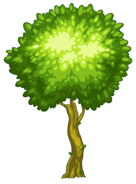 Un árbol alto — Vector de stock