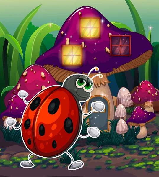 hata yanan mantar evinin önünde