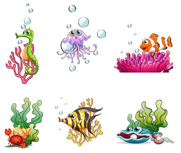 Diferentes criaturas marinas — Archivo Imágenes Vectoriales