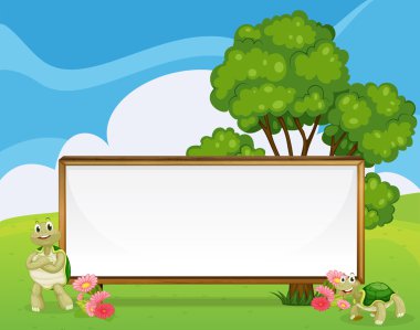 Kaplumbağalar yanında tepe, boş tabela