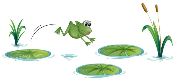 A frog at the pond with waterlilies — Stock Vector