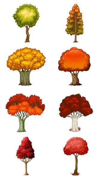 Восемь различных деревьев — стоковый вектор