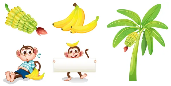 Featured image of post Banana Cartoon Images For Kids - ✓ free for commercial use ✓ high quality images.