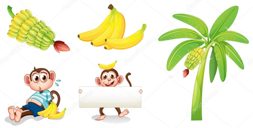 Bananas and monkeys with an empty signboard