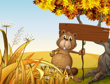 boş bir tabela holding şişman kunduz