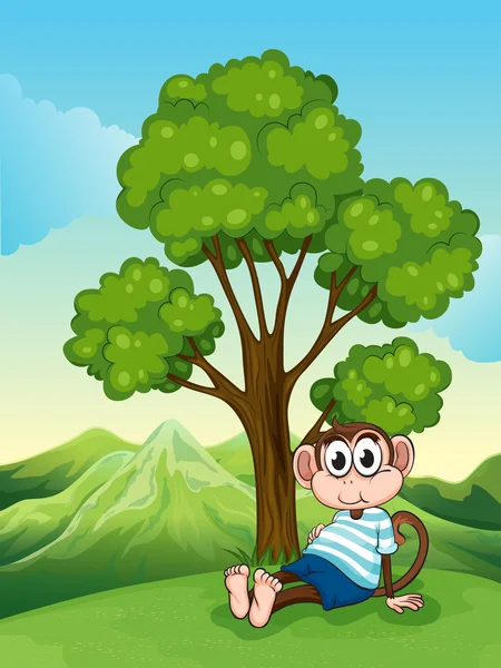 Ein müder Affe, der sich unter dem Baum auf dem Hügel ausruht — Stockvektor