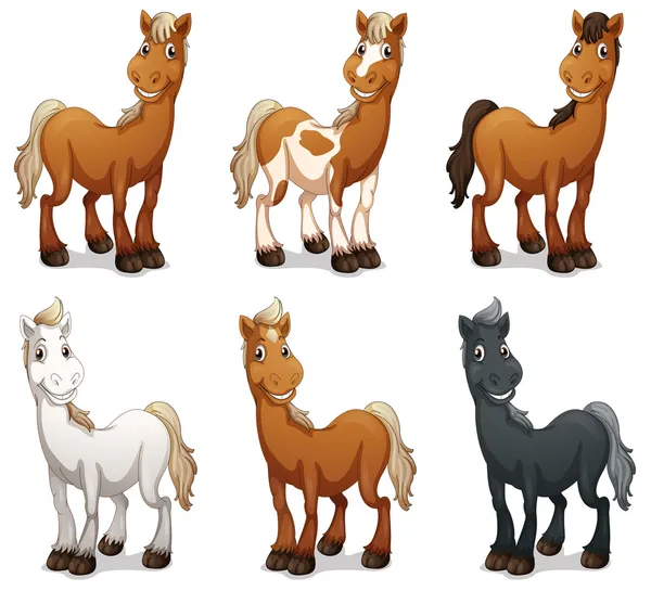 Seis caballos sonrientes — Vector de stock