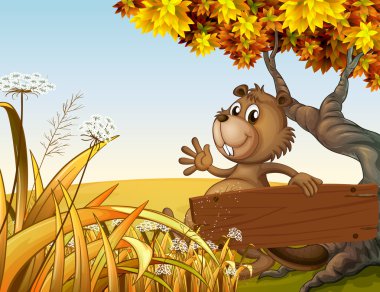 ağacın altında boş bir ahşap bo tutarken oynayan bir kunduz