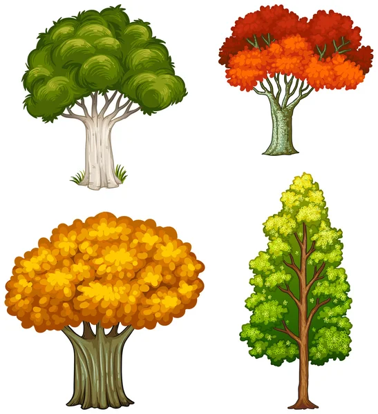 Cuatro árboles con diferentes colores — Vector de stock