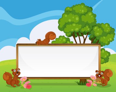 hilltop, geniş boş bir çerçeve