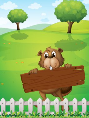 beaver ile boş bir ahşap tahta