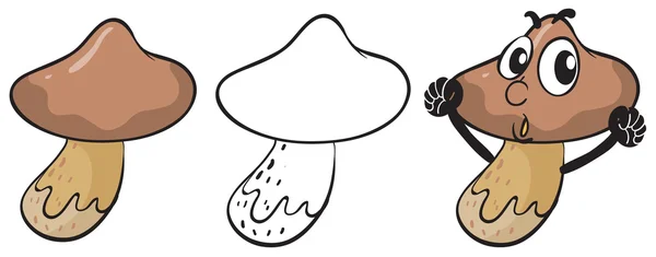 Mushrooms — Stock Vector