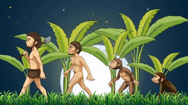 人类的进化 — 图库矢量图片