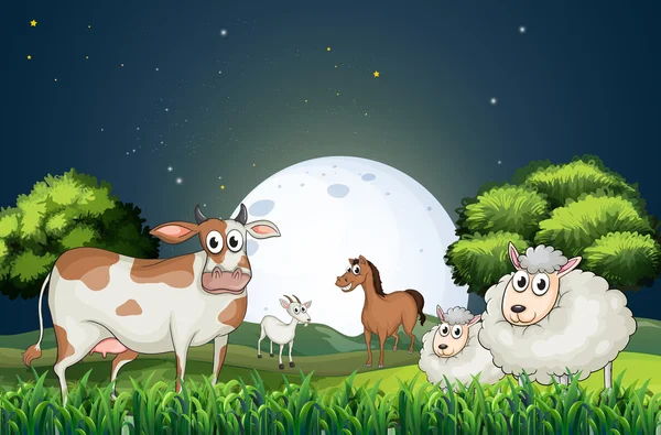 Animals at the forest strolling in the middle of the night — Stock Vector