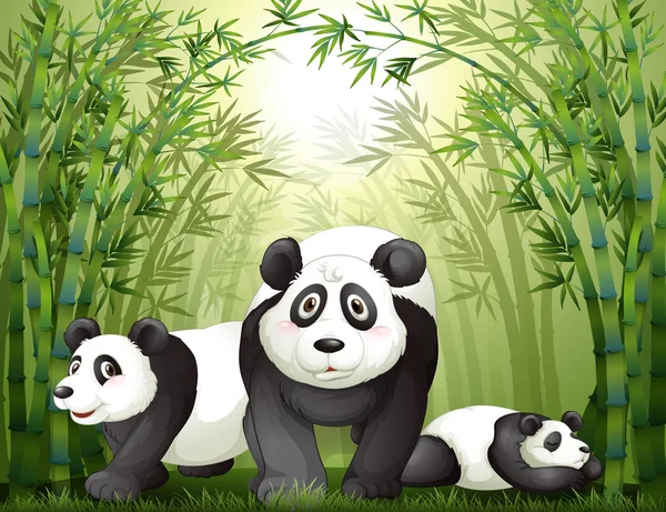 Tres osos grandes en la selva tropical — Vector de stock