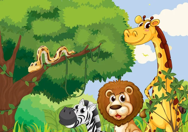 korkutucu yaban hayvanları ile orman