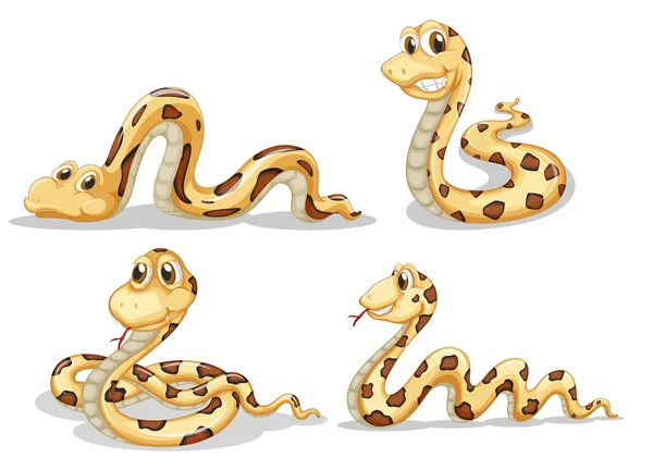 Quatre serpents effrayants — Image vectorielle