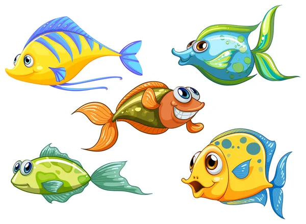 Five colorful fishes — Stock Vector