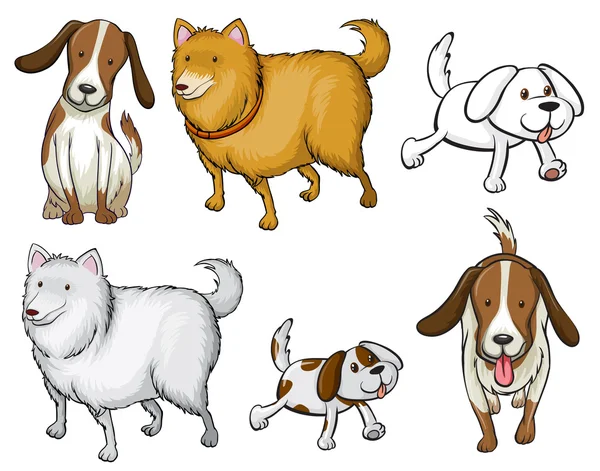 Διαφορετικά είδη των σκύλων — Διανυσματικό Αρχείο