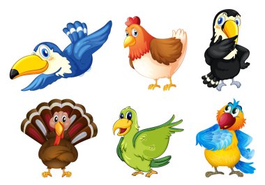 Flying birds vector