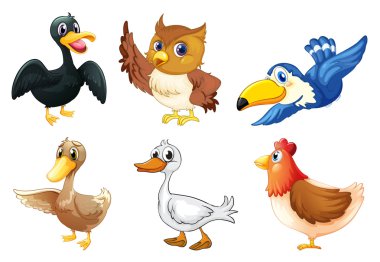 A group of birds clipart