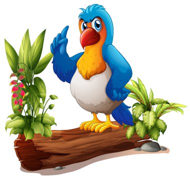 bitkiler ile gövde üstünde papağan