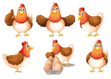 A group of fat hens