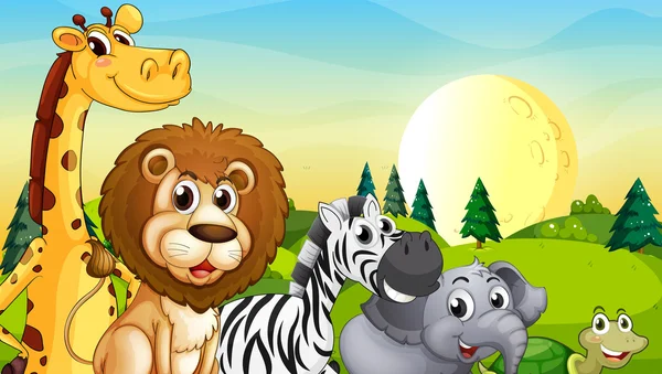 hayvanlar, çam ağaçları ile tepe