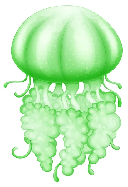 A green jellyfish — Stock Vector