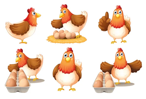 Seis gallinas — Vector de stock