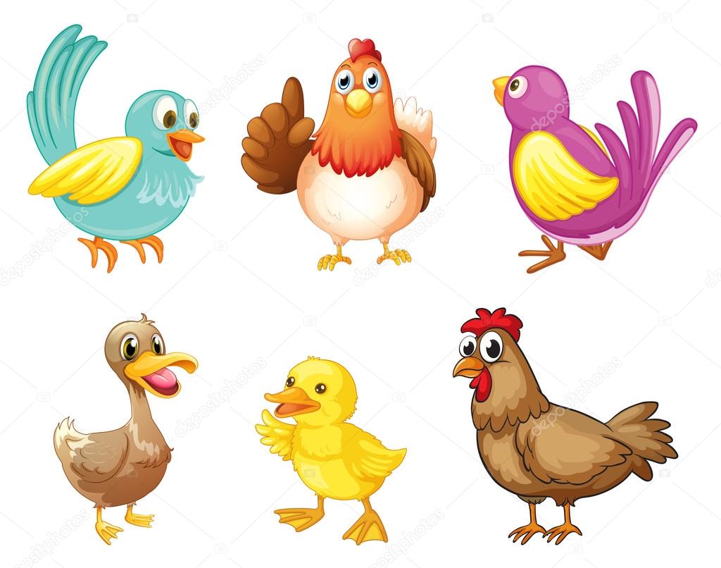 Animales que tienen plumas sale