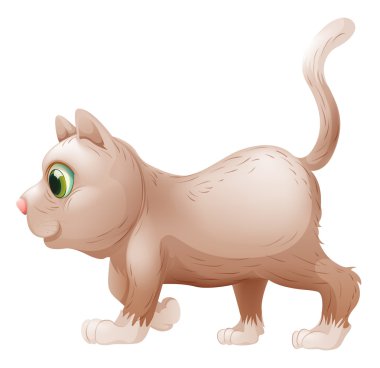 Gri kedi bir yan görünüm