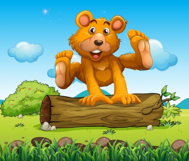 bagajı açık oynayan bir ayı