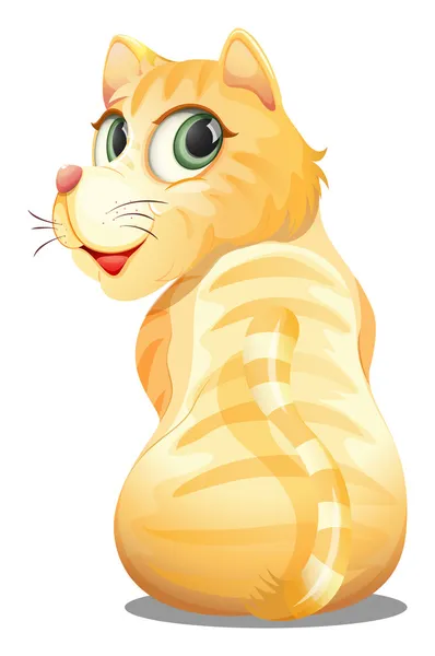 A backview of an orange cat — Stock Vector