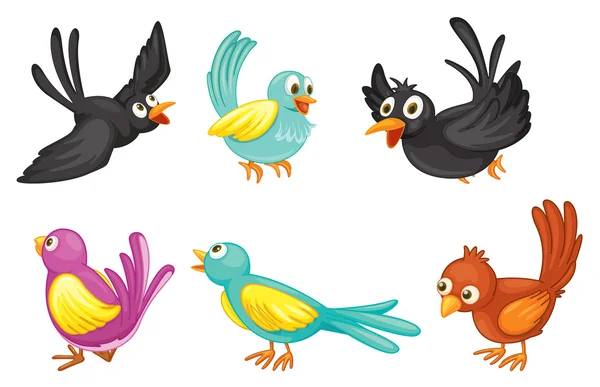 Seis pássaros coloridos — Vetor de Stock