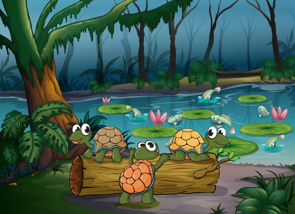 A forest with turtles and fishes at the pond