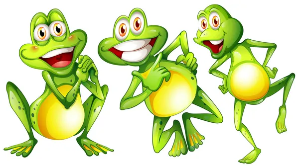 Three smiling frogs — Stock Vector