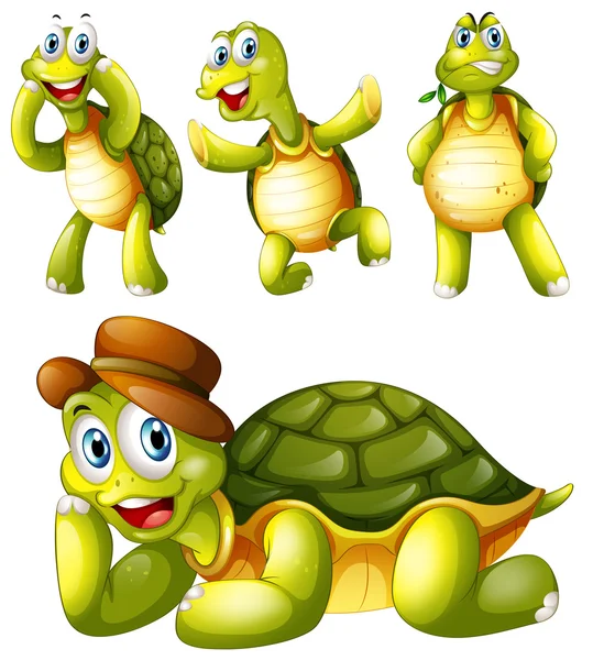 Four playful turtles — Stock Vector