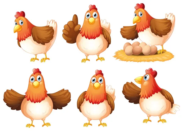 Six egg-laying hens — Stock Vector