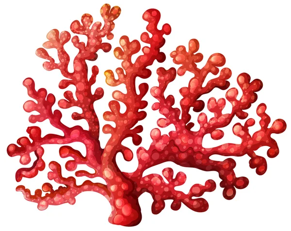 Un récif corallien — Image vectorielle