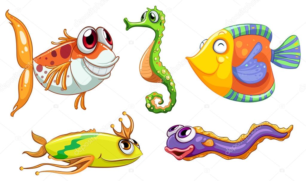 Five sea creatures