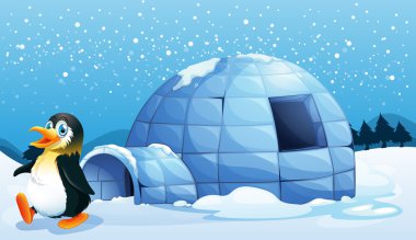 Igloo yakınındaki bir penguen
